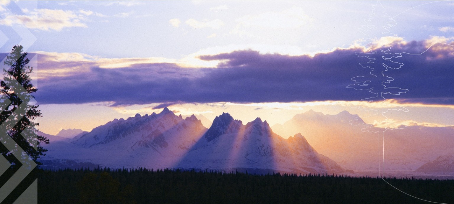 Work With Doyon Doyon Government Group